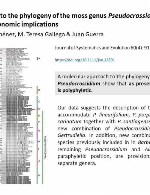 A molecular approach to the phylogeny of the moss genus Pseudocrossidium (Pottiaceae, Bryopsida) and its taxonomic implications
