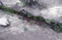 Mendoza: Lujn de Cuyo, Potrerillos, 3257'24''S 6911'44''W, 1375 m.