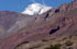 Mendoza: Lujn de Cuyo, pr. Potrerillos, 3255'58''S 6912'55''W, 1400 m.
