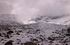 Chimborazo: ladera sur del volcn Chimborazo, 0129'45''S 7851'50''W, 4370 m.