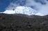 Napo: Reserva ecolgica Antisana, ladera SW del volcn Antisana, 0029'42''S 7812'00''W, 4200 m.