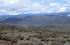 Pichincha: Chaupi, ladera NE de los volcanes Ilinizas, 0037'52''S 7841'22''W, 3980 m.