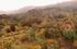 Pichincha: Reserva Cayanbe-Coca, va a Baeza, 0000'44''S 7820'34''W, 4200 m.