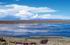 Departamento Puno: Lago Titicaca, 154911''S, 6959'21''W, 3800 m.