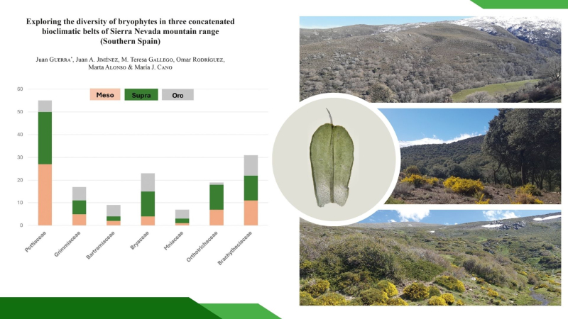 Primer estudio sobre la flora briofítica en tres pisos  bioclimáticos contiguos dentro de Sierra Nevada
