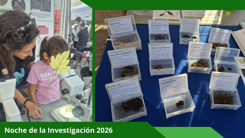 El pasado viernes 25 de septiembre celebramos la Noche de la Investigación